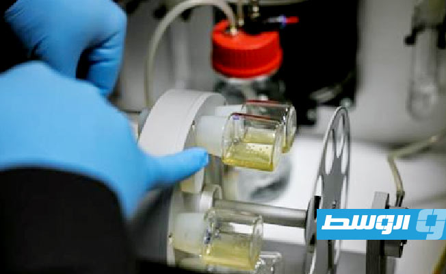تنافس علمي لتطوير نماذج أجنة مخبرية يثير دعوات لتشديد الضوابط