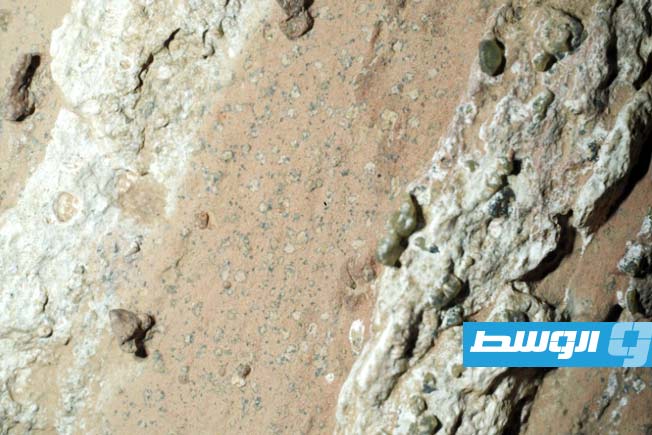 «ناسا» تعرض صخورا تكشف وجود حياة سابقة على المريخ