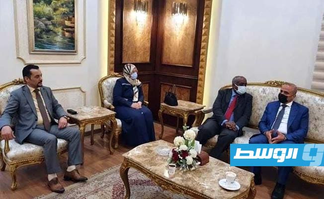 اللافي يجري مباحثات مع سامح شكري في القاهرة اليوم