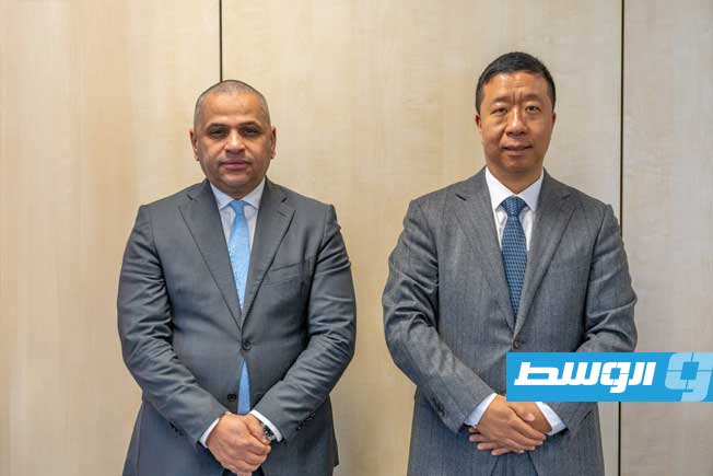 Libyan Investment Authority asks for China's support on reinvestment of frozen assets