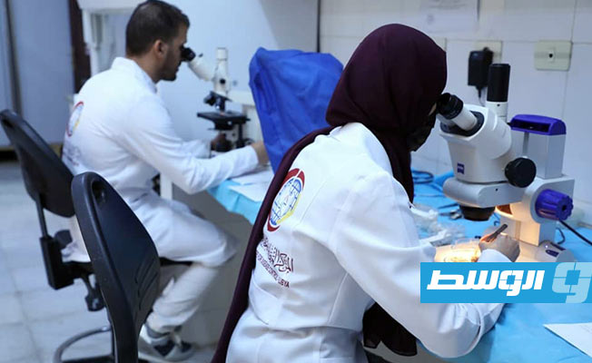 بالصور: باحثو مركز مكافحة الأمراض يتقصون عن البعوض الناقل للملاريا في سوكنة