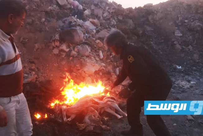 إعدام لحوم غير صالحة للاستهلاك الآدمي في الأبيار
