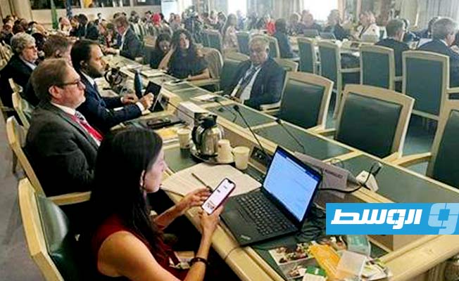 مساع ليبية لإعادة حق التصويت في «فاو»