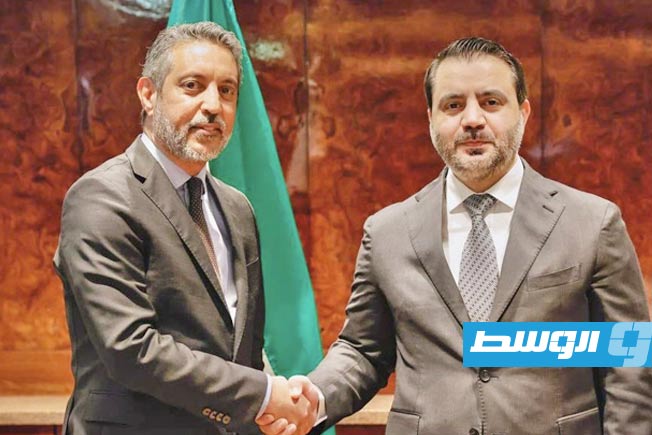 خلال لقائه الشيباني.. السني يجدد دعم ليبيا الكامل لسورية