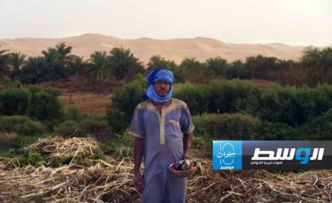 «واحة معدن».. قرية موريتانية قائمة على الأخوة والتسامح والعمل