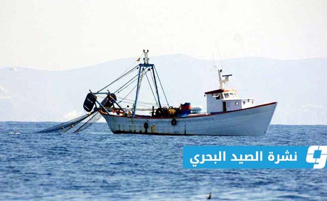 «الأرصاد»: الرؤية جيدة على طول الساحل