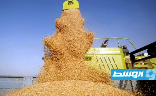 الاتحاد الأوروبي يريد فرض رسوم على الحبوب الروسية لحرمان موسكو من «مصدر عائدات»