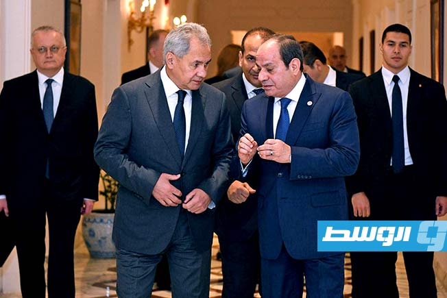 السيسي وشويجو يبحثان العلاقات «الروسية - المصرية» وعددًا من القضايا الإقليمية والدولية