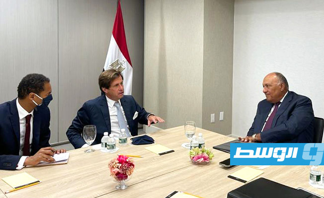 شكري يشرح لرئيس مجلس الأمن أبعاد الموقف المصري تجاه سد النهضة