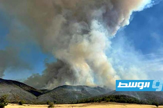 إعلان حالة الكارثة في جنوب شرق أستراليا جراء حرائق غابات مدمرة