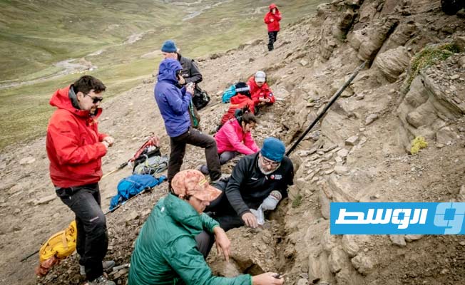 للمرة الأولى.. العثور على 4 أنواع من الديناصورات في تشيلي