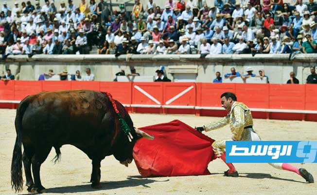 بسبب الأسماء.. منع مصارعة الثيران في مدينة إسبانية