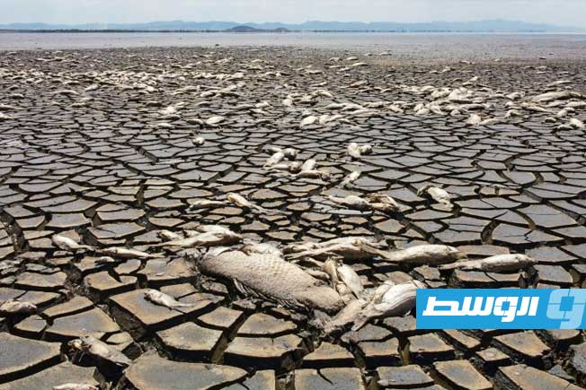 الأمم المتحدة تحذر من تخطي معدل الاحترار 1.5% بحلول 2029
