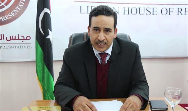 النويري يناشد مجلس الدولة التعاطي إيجابيًا مع قرار تعيين محافظ المصرف المركزي