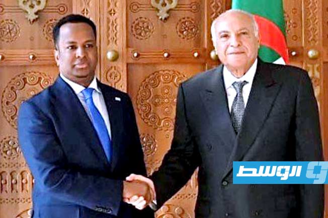 بتنظيم انتخابات.. الجزائر والصومال تطالبان بوضع حدٍّ للتدخلات الأجنبية في ليبيا