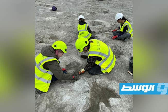 اكتشاف أكبر موقع لآثار أقدام ديناصورات في بريطانيا