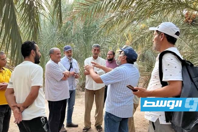 فريق أكاديمي في الجفرة لتقييم حجم آفة سوسة النخيل الحمراء