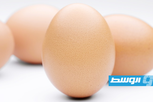 دراسة تكشف عن الطريقة المثالية لطهو البيض
