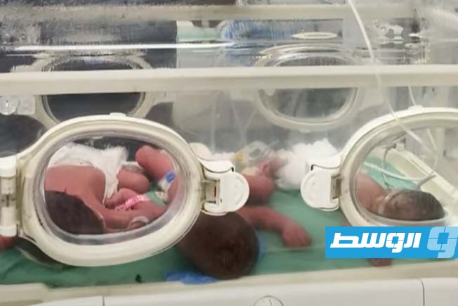 3 أطفال رضع بحضّانة واحدة في غزة بسبب قصف المستشفيات (فيديو)