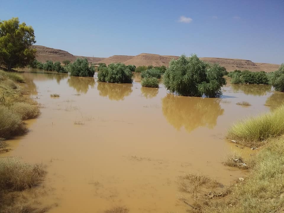 هطول أمطار غزيرة بمنطقة مزدة تبشر بموسم زراعي وفير