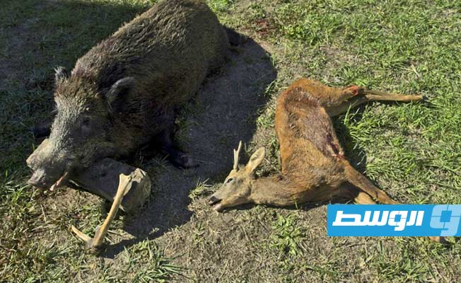 وفاة بريطانية بإطلاق نار من صديقها خلال رحلة صيد