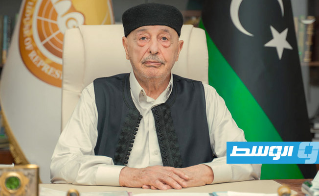 الصغير يطلع عقيلة على أعمال لجنة المسار الدستوري