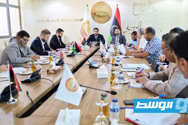 قادربوه يبحث مع اللجنة المالية بـ«النواب» إجراءات قفل الحسابات الختامية