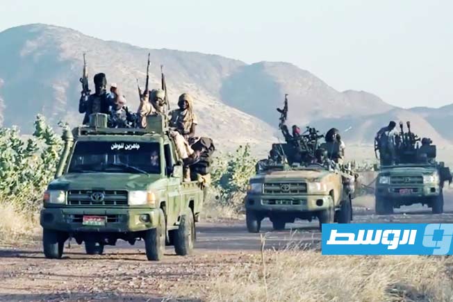 الإمارات تعلق على رفض محكمة العدل شكوى السودان ضدها