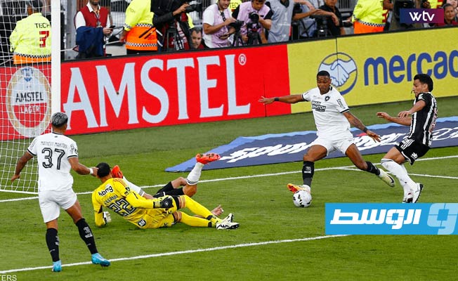 «بوتافوغو» البرازيلي يحرز كأس «ليبرتادوريس» للمرة الأولى