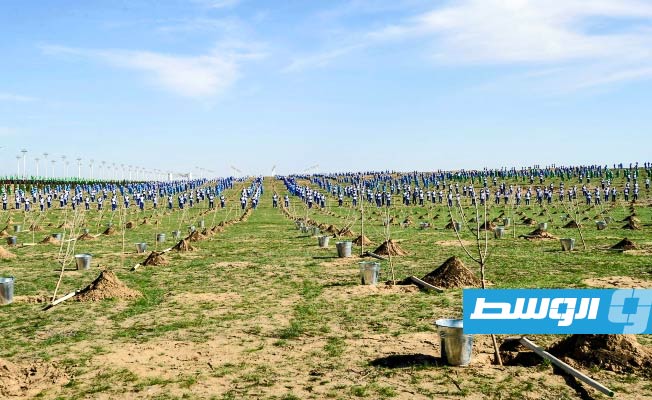 تركمانستان الصحراوية تزرع ما يقرب من نصف مليون شجرة في يوم واحد