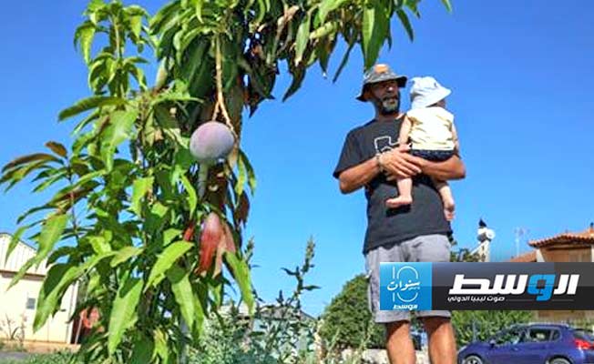 تجربة فريدة في اليونان لزراعة الفواكه الاستوائية المقاومة للتغير المناخي