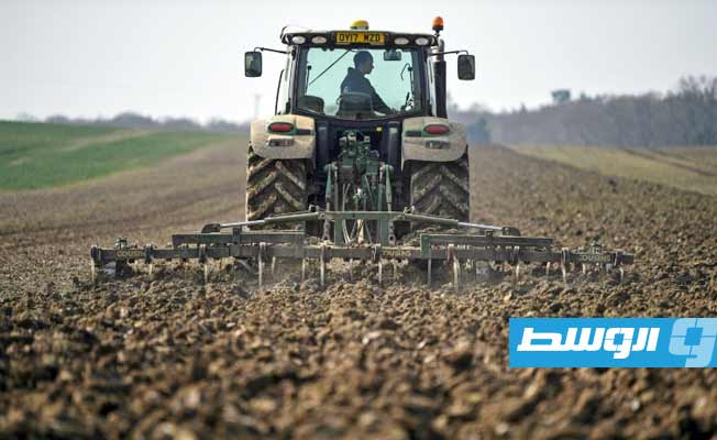 دراسة: تراجع نصف أنواع النباتات المتوطنة في بريطانيا