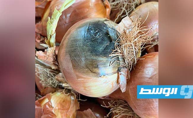 يصيب بـ«الفشل الكلوي».. تحذير من بصل متداول في الأسوق