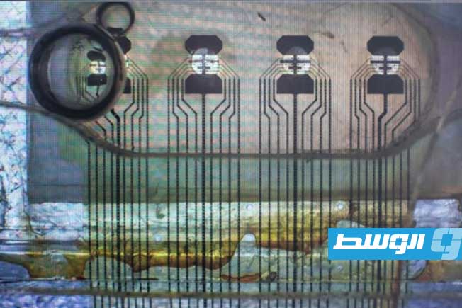 «الأدمغة المصغّرة».. ثورة «الحوسبة الحيوية» تَعِدُ بحل أزمة طاقة الذكاء الصناعي