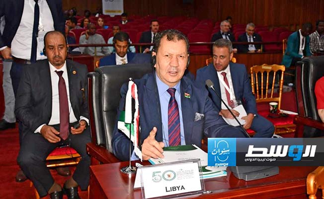وكيل «خارجية الوحدة» يشارك في اجتماعات «التعاون الإسلامي» بالكاميرون