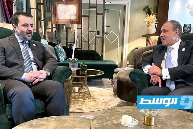 عبدالعاطي يبحث مع الشيباني تطوارت الأوضاع في سورية ويحذر من التدخلات الخارجية