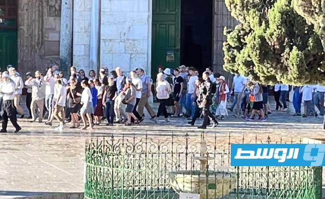 بعد اقتحام 658 مستوطنا.. الأردن يدعو إلى وقف استفزازات «المتطرفين» في محيط المسجد الأقصى