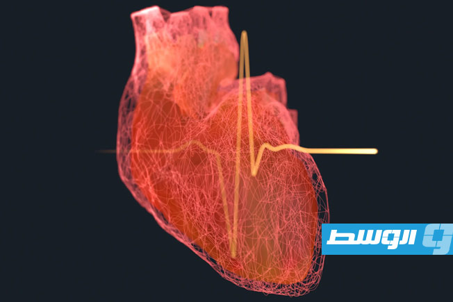 دراسة تحذر: سن الـ35 هو «المنعطف الحرج» لصحة القلب