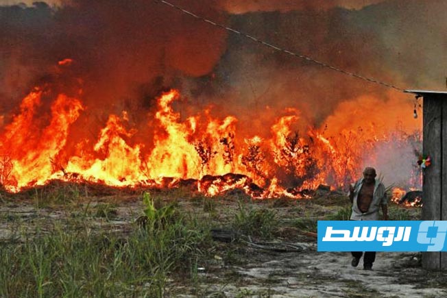 سكان منطقة في الأمازون البرازيلية.. يعانون من الحرائق المفتعلة