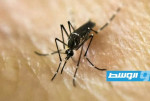 العلم يفكك الشفرة الكيميائية المعقدة لجذب البشر للبعوض