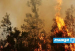 حرائق فرنسا وإسبانيا تدفع بـ325 ألف متضرر إلى مراكز الإيواء