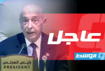 عقيلة صالح: العمل البرلماني المشترك ضرورة لمواجهة الفساد والهجرة غير القانونية