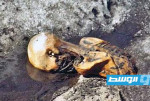 مومياء «أوتزي» تتحول إلى نظام بيئي ديناميكي عابر للألفية