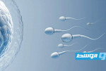 دراسة: فيروس هانتا يختفي في السائل المنوي لست سنوات