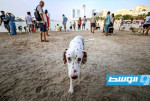 علاج كلب يودي بصاحبه إلى المحكمة في الإمارات