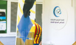 اعتماد النتائج النهائية للمرحلة الأولى لانتخابات المجالس المحلية للشباب