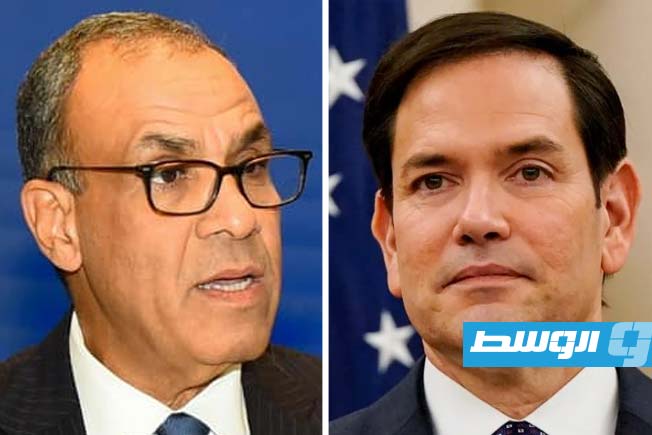 وزيرا خارجية مصر وأميركا يستعرضان خطة ترامب لغزة