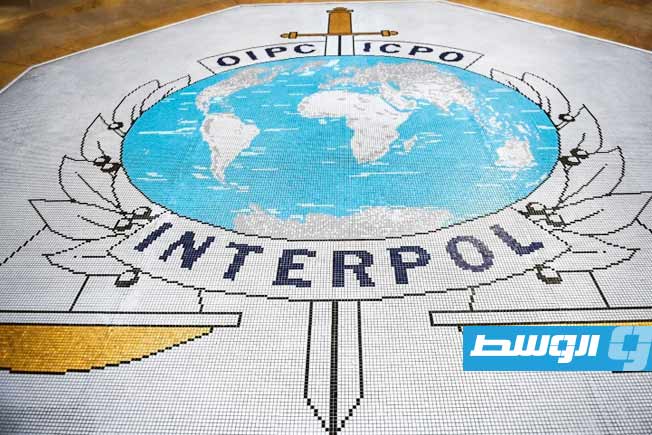 بإشراف «الإنتربول».. 1200 موقوف في عملية ضد الجريمة السيبرانية بأفريقيا