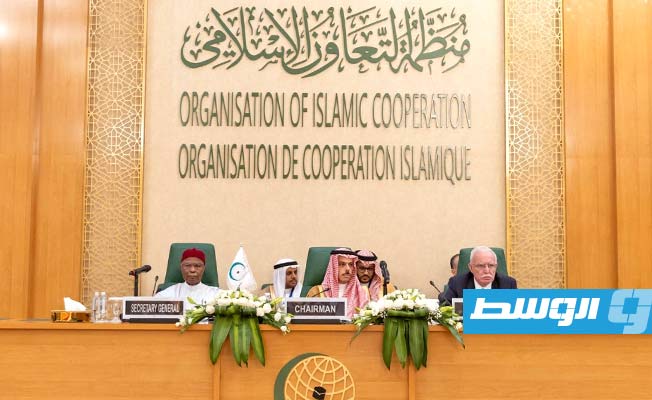 «التعاون الإسلامي» تندّد بـ«الحصانة» الممنوحة للاحتلال الإسرائيلي في عدوانه على غزة