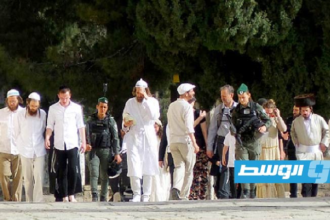 96 مستوطنا إسرائيليا يقتحمون «الأقصى» تحت حماية قوات الاحتلال